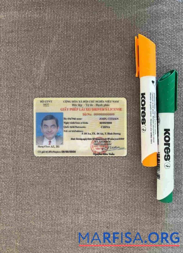 Downloadable Vietnam DL photolook download for verification